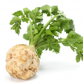 celery root with leaf isolated on white background. Celery isolated on white. Healthy food